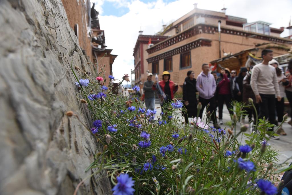 “天空之城”理塘印象