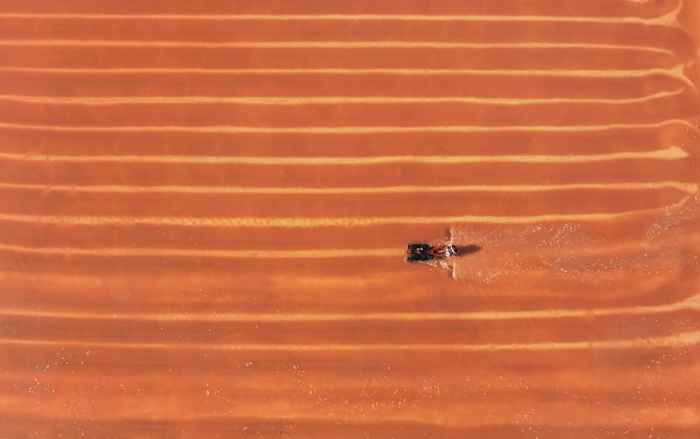 河北灤南：秋鹽收穫忙