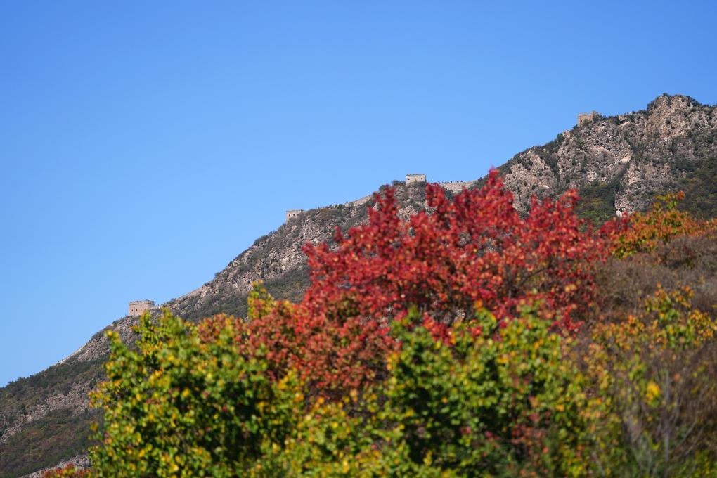 美麗中國丨司馬&長城秋色