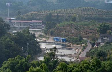 高質量發展調研行丨四川內江：青山挂綠果 綠水躍銀魚