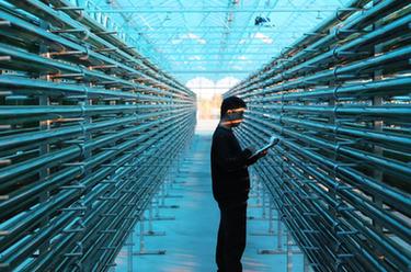 內蒙古鄂托克旗：螺旋藻産業助發展