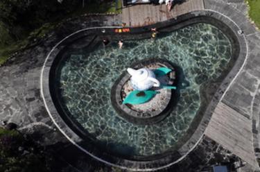 貴州&&杜鵑：拓展旅游業態 激活秋冬旅游季