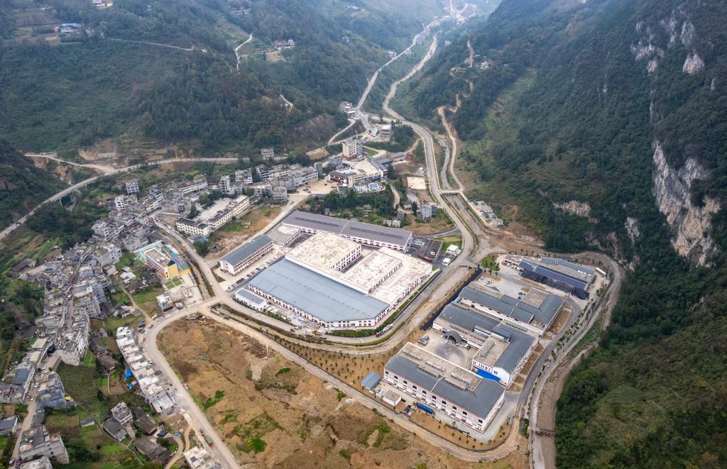 雲南大關：竹産業助力鄉村振興“節節高”