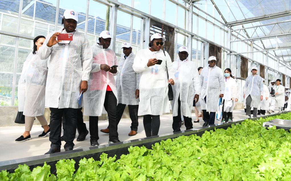 中非農業合作論壇嘉賓參觀現代農業基地