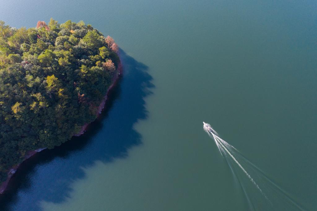 浙江淳安：山鄉“共富蜜”迎來豐收季