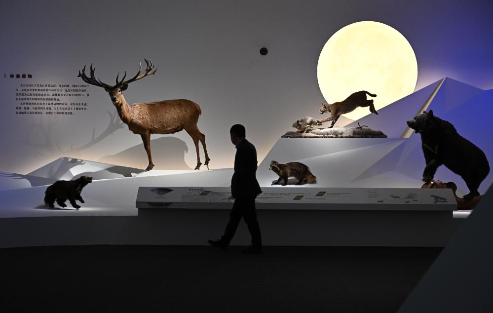 “共同家園——大自然的奇蹟”展覽在國博舉辦