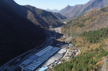 陜西寧陜：香菇産業助力鄉村振興