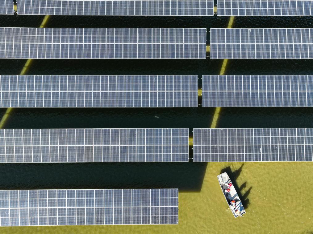 江蘇連雲港：綠色能源釋放生態紅利