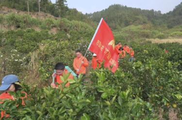 新華全媒+丨福建寧德：在“四下基層”實踐中培養鍛煉年輕幹部