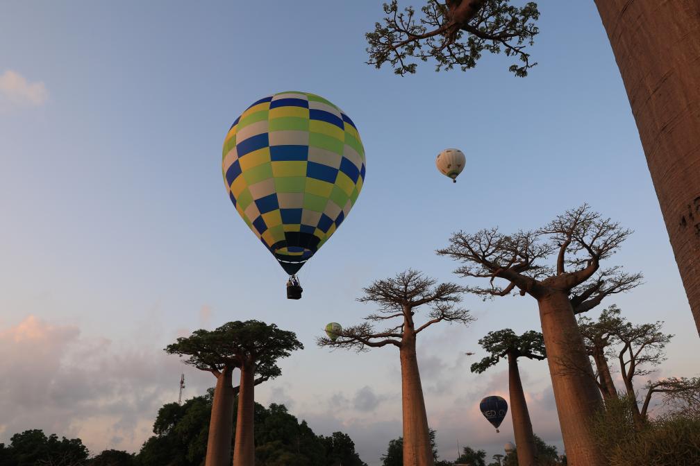 馬達加斯加：猴麵包樹與熱氣球