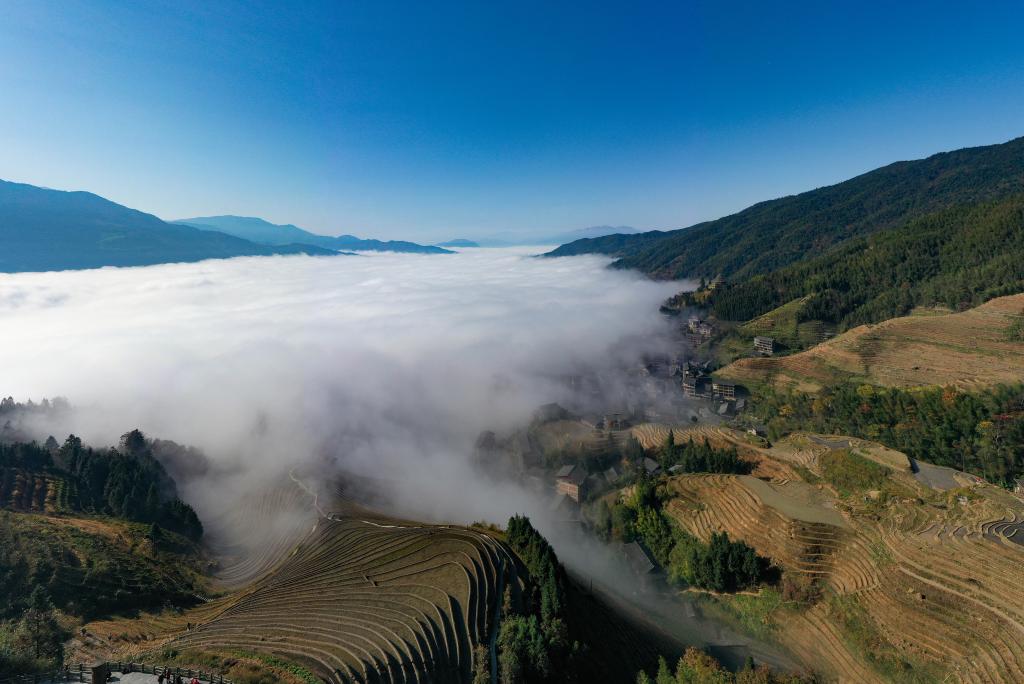 廣西龍勝：梯田雲海