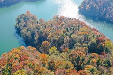 貴州&&杜鵑：色彩斑斕景如畫