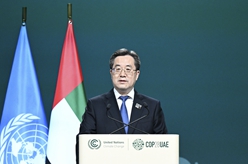 丁薛祥出席世界氣候行動峰會並致辭