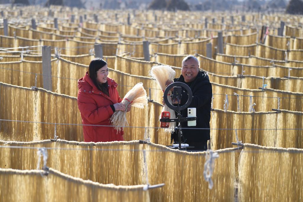河北遷安：冬閒粉條加工助增收