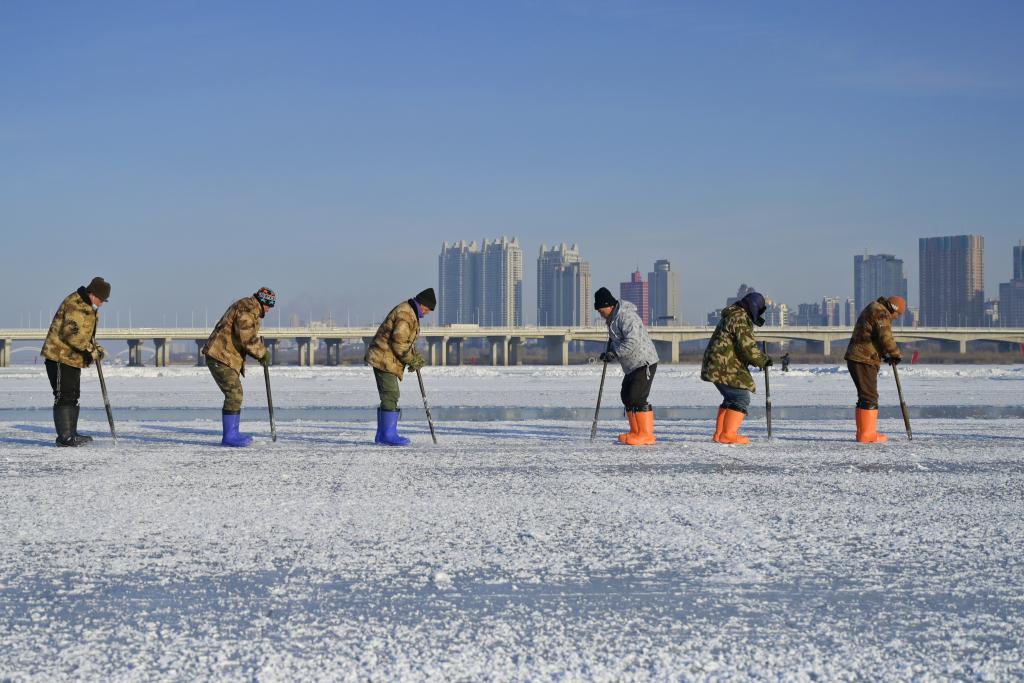 &ldquo;冰城&rdquo;哈爾濱：松花江上奏響採冰交響曲