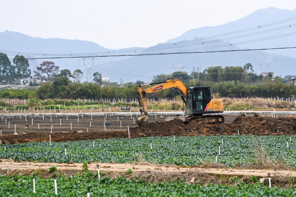 廣西賀州：供港蔬菜&ldquo;雙牌&rdquo;貨車直通首發