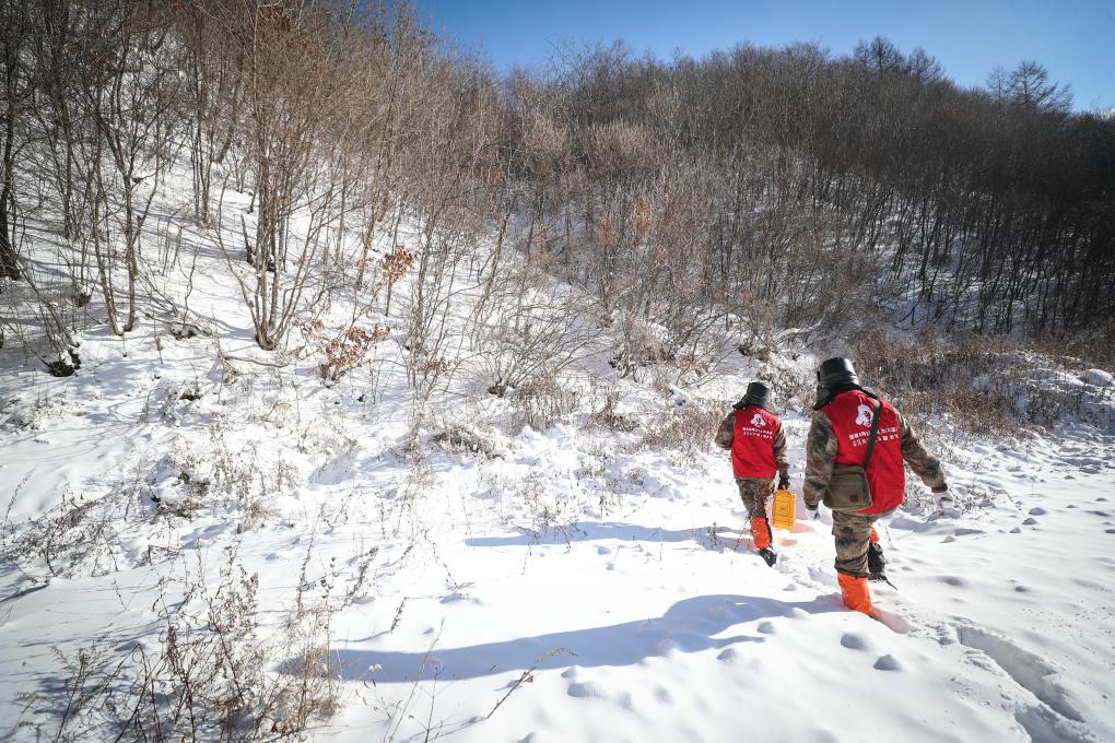 抗嚴寒特巡保供電