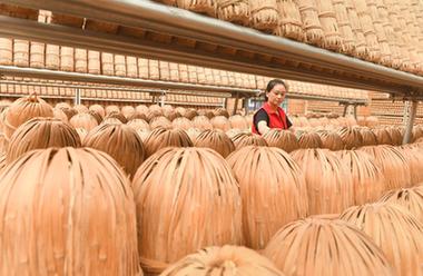 湖北宣恩：富硒黑茶生産忙
