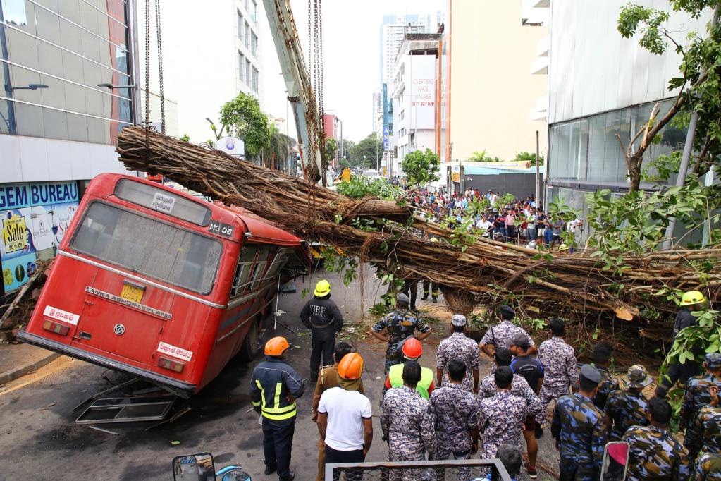 斯裏蘭卡一公交車被大樹砸中5人死亡