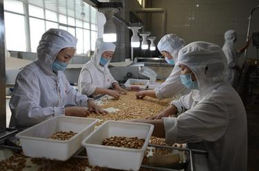 山東蘭山：聚焦傳統産業轉型升級 推動企業提質增效