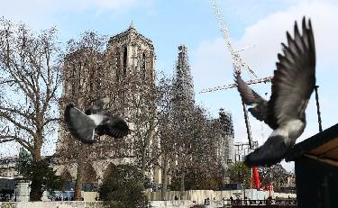 法國總統：巴黎聖母院將於2024年12月8日開放