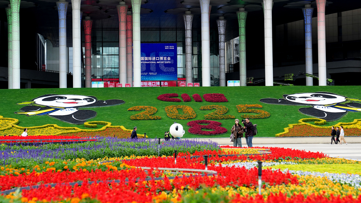 “四葉草”綻新顏  靜待第八屆進博會