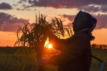 鏡觀中國&middot;新華社國內新聞照片一週精選