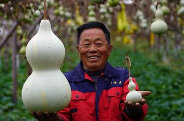 河北邢&：特色葫蘆産業助增收