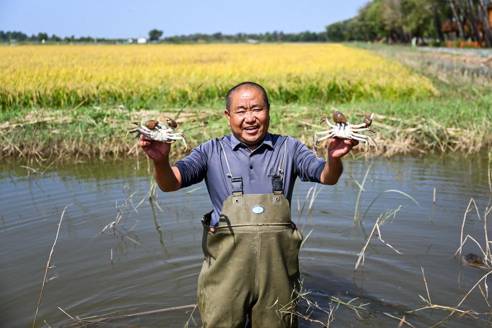 內蒙古準格爾旗：鹽鹼地變生態觀光園