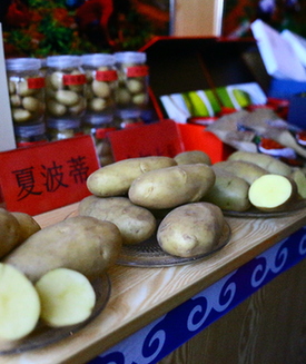 馬鈴薯展洽會成為烏蘭察布市的“金招牌”