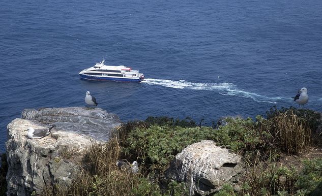韓媒記者拍攝獨島迎接光復70周年