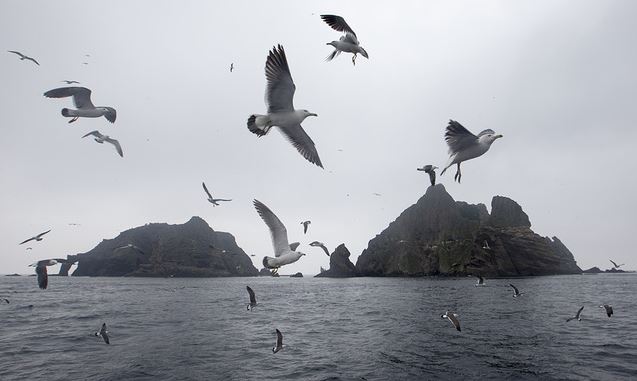 韓媒記者拍攝獨島迎接光復70周年