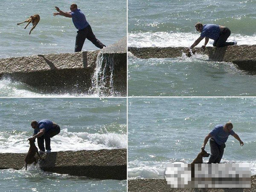 近些年，虐待動物事件頻發，令人髮指。