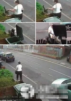 近些年，虐待動物事件頻發，令人髮指。