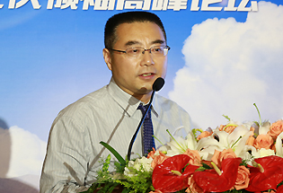 中國電力科學院新能源研究所副所長丁傑發表主題演講