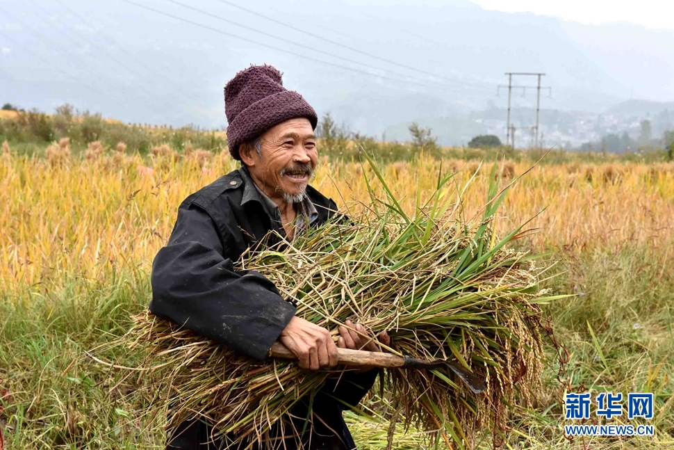 收穫了,農民笑了