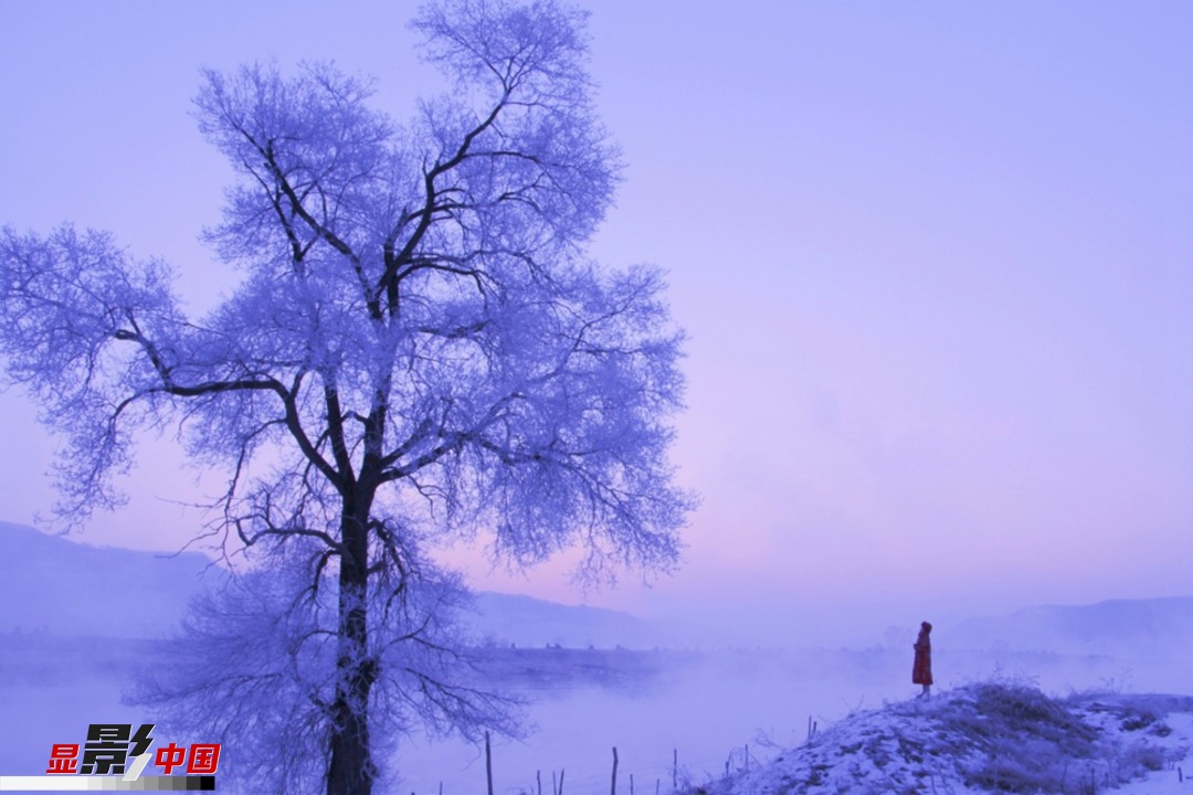 清秀雅致、婀娜多姿造就霧凇美景。2018年12月30日拍攝于吉林省樺甸市。新華網發 胡紅曉 攝