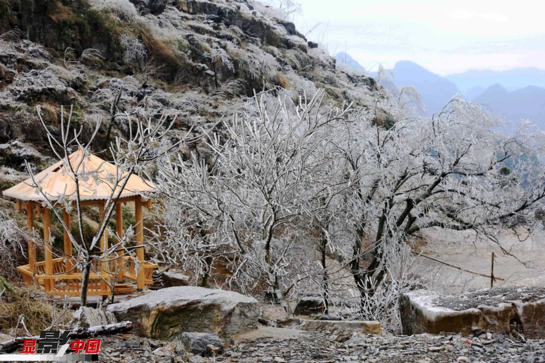 1月28日，在廣西柳州市融安縣東起鄉崖腳村銅板屯拍攝的冰挂美景。新華網發 譚凱興 攝