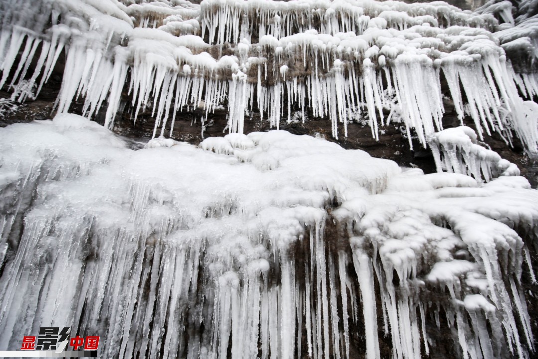 連日來的雨雪冰凍天氣致重慶市黔江區八面山國家森林公園出現冰挂奇觀，吸引了眾多遊客前往觀賞。新華網發 楊敏 攝