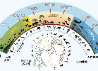 五大禍端威脅中國生物安全