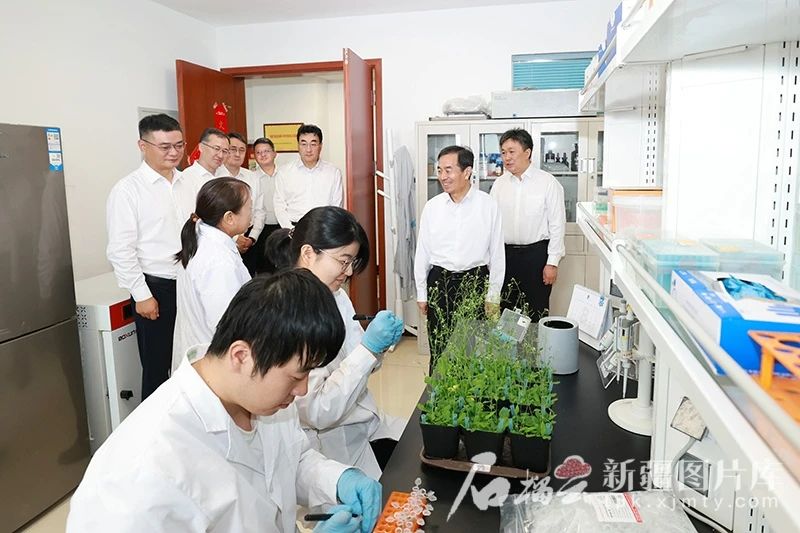 8月11日，自治區黨委書記、兵團黨委第一書記、第一政委陳小江在位於昌吉市的中國農科院西部農業研究中心，了解科技研發促進農業增效、農民增收情況。