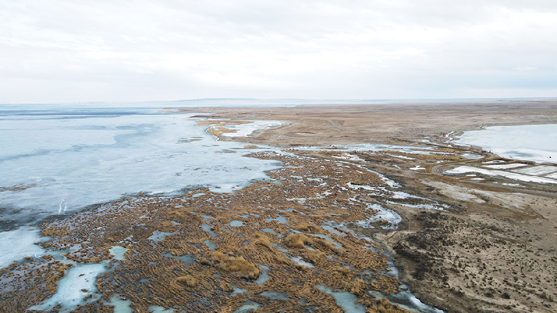 春來了!烏倫古湖冰雪消融 候鳥歸