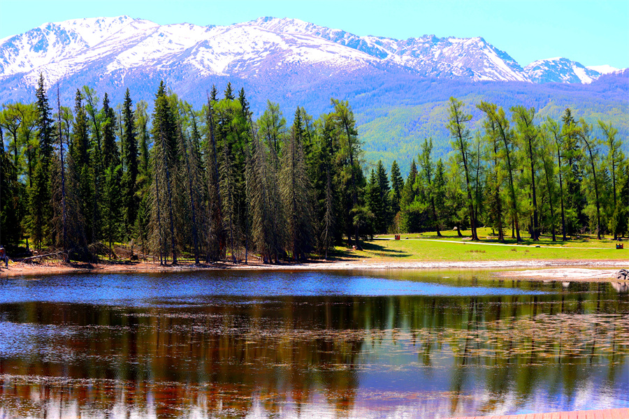 喀納斯：人間凈土 風景如畫