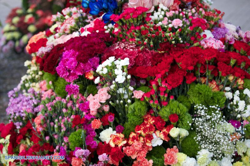 La 18ª Hortiflorexpo IPM Beijing/Shanghai se inauguró hoy miércoles en Beijing y los empresarios colombianos participantes esperan aprovechar la oportunidad para aumentar la exportación de sus flores a este creciente mercado asiático.