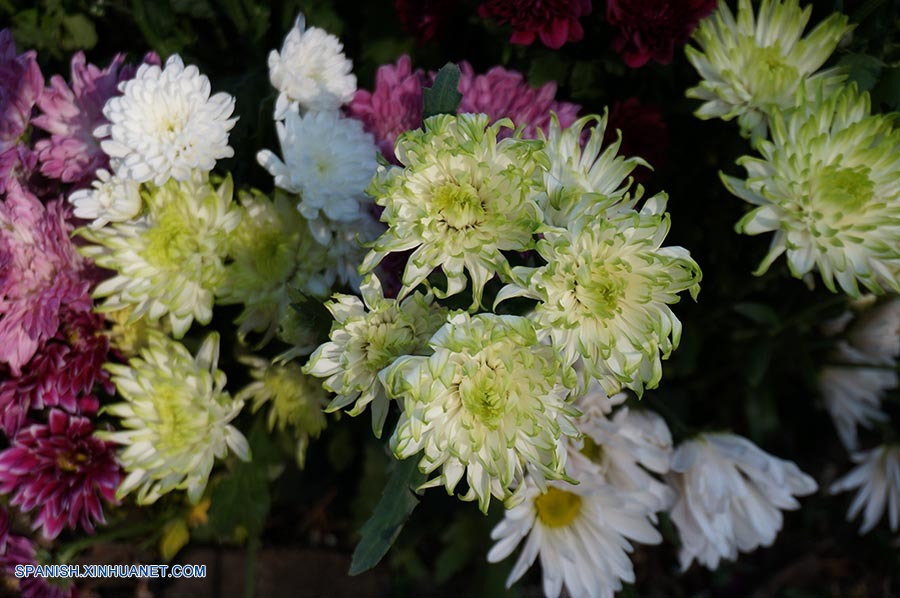 La 18ª Hortiflorexpo IPM Beijing/Shanghai se inauguró hoy miércoles en Beijing y los empresarios colombianos participantes esperan aprovechar la oportunidad para aumentar la exportación de sus flores a este creciente mercado asiático.