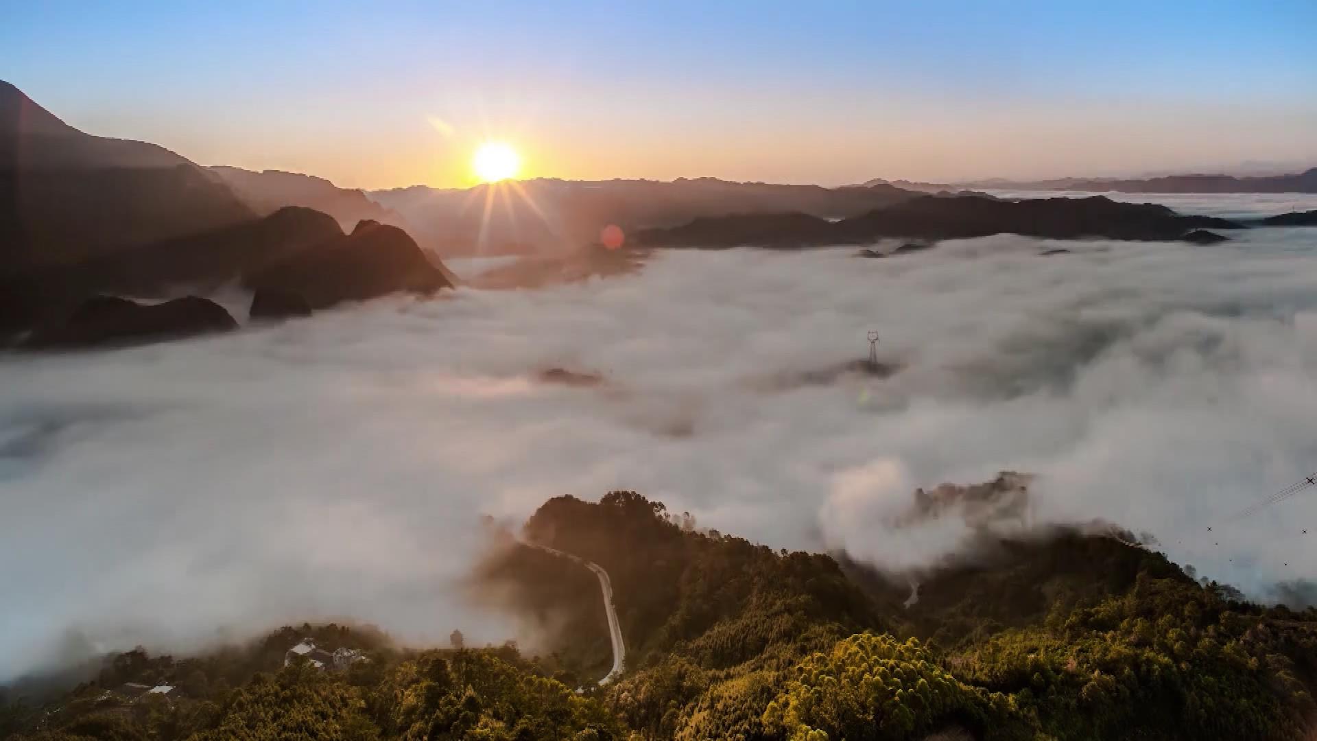 Episodio XXII:El destino común